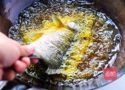 葱焖鲫鱼的做法图解4