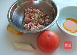 明厨私房菜 番茄猪肉丸子的做法图解1
