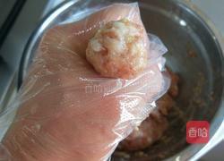 明厨私房菜 番茄猪肉丸子的做法图解8