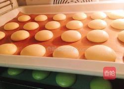 海苔肉松小贝贝的做法图解8