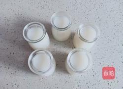 牛奶布丁的做法图解5
