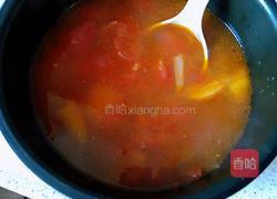番茄土豆牛腩的做法图解14