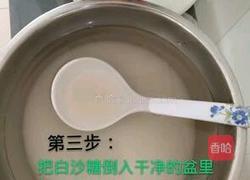 火龙果酵素的做法图解4