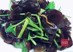 凉拌木耳（不辣）的做法图解3