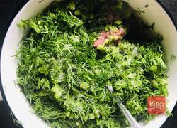 茴香牛肉包的做法图解4