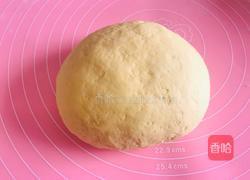 茴香牛肉包的做法图解6