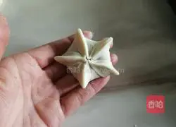 How to make delicious and beautiful steamed dumplings (detailed process from filling to shape) Illustration 9
