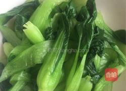 凉拌小油菜的做法图解5