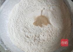 新文美食 酸菜猪肉包子的做法图解7