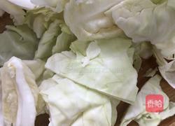 蚝油包心菜的做法图解2