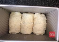 奶香全麦土司的做法图解8