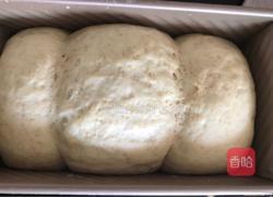 奶香全麦土司的做法图解9