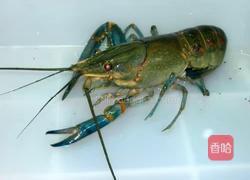 清蒸蒜蓉龙虾的做法图解1