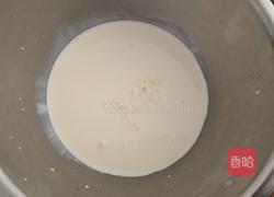 冻芝士蛋糕(免烤)的做法图解9