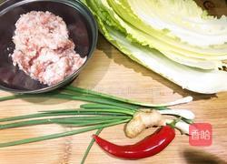 花式白菜酿肉的做法图解1
