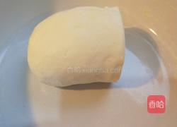 花开四季 蔬菜虾仁蒸饺的做法图解6