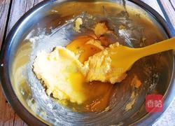 蔓越莓饼干的做法图解5