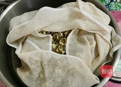 是不是可以自己在家发绿豆芽儿 坐等绿豆发芽的做法图解8