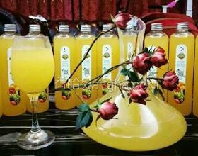 菠蘿火龍果酵素