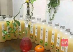 菠萝火龙果酵素的做法图解5