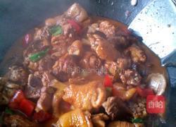 红烧仔鸡的做法图解3