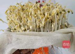 是不是可以自己在家发绿豆芽儿 坐等绿豆发芽的做法图解15