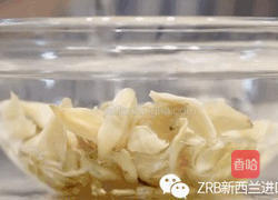 新西兰花胶响螺片排骨汤的做法图解1