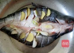  清蒸鱼的做法图解5