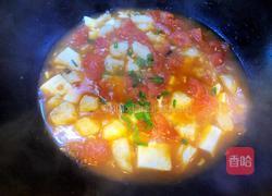 番茄龙利鱼的做法图解13