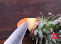 水果拼盘（鹦鹉菠萝凤梨）的做法图解11