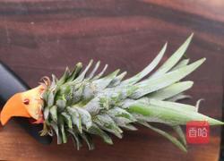 水果拼盘(鹦鹉菠萝凤梨)的做法图解14