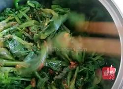 凉调辣菠菜的做法图解11