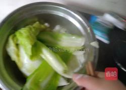 白菜包饭的做法图解6