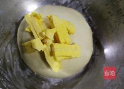 椰蓉叶子软欧（波兰种）的做法图解4