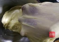 椰蓉叶子软欧（波兰种）的做法图解5