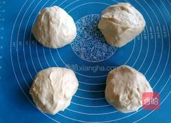 椰蓉叶子软欧（波兰种）的做法图解13