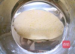 迷你奶香豆沙包的做法图解4