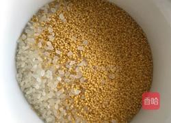 健脑双色蒸饭的做法图解1