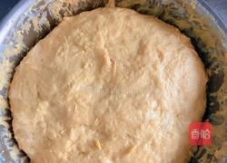  果子南瓜花卷的做法圖解8