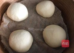 玉米面馒头的做法图解8