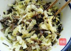 木耳包菜煎饼的做法图解12