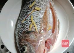  ＃蒸菜＃清蒸罗非鱼的做法图解8