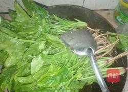 蒜香菠菜的做法图解4