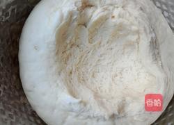 蒸馒头的做法图解9