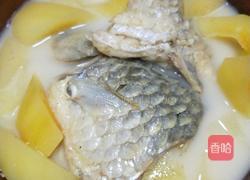 下奶汤的做法图解6