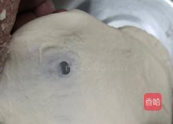 一发(无蛋玉米油版)牛奶土司的做法图解8