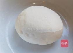 新文美食 蝴蝶蒸饺的做法图解2