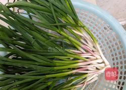 素餃子餡的做法圖解2