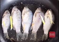 野生鲫鱼豆腐汤的做法图解4