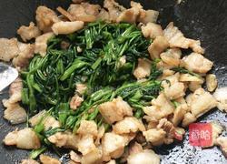 五花肉炒空心菜的做法图解6